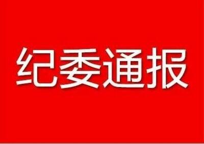 肥城市民政局四级主任科员杨柳青接受纪律审查和监察调查