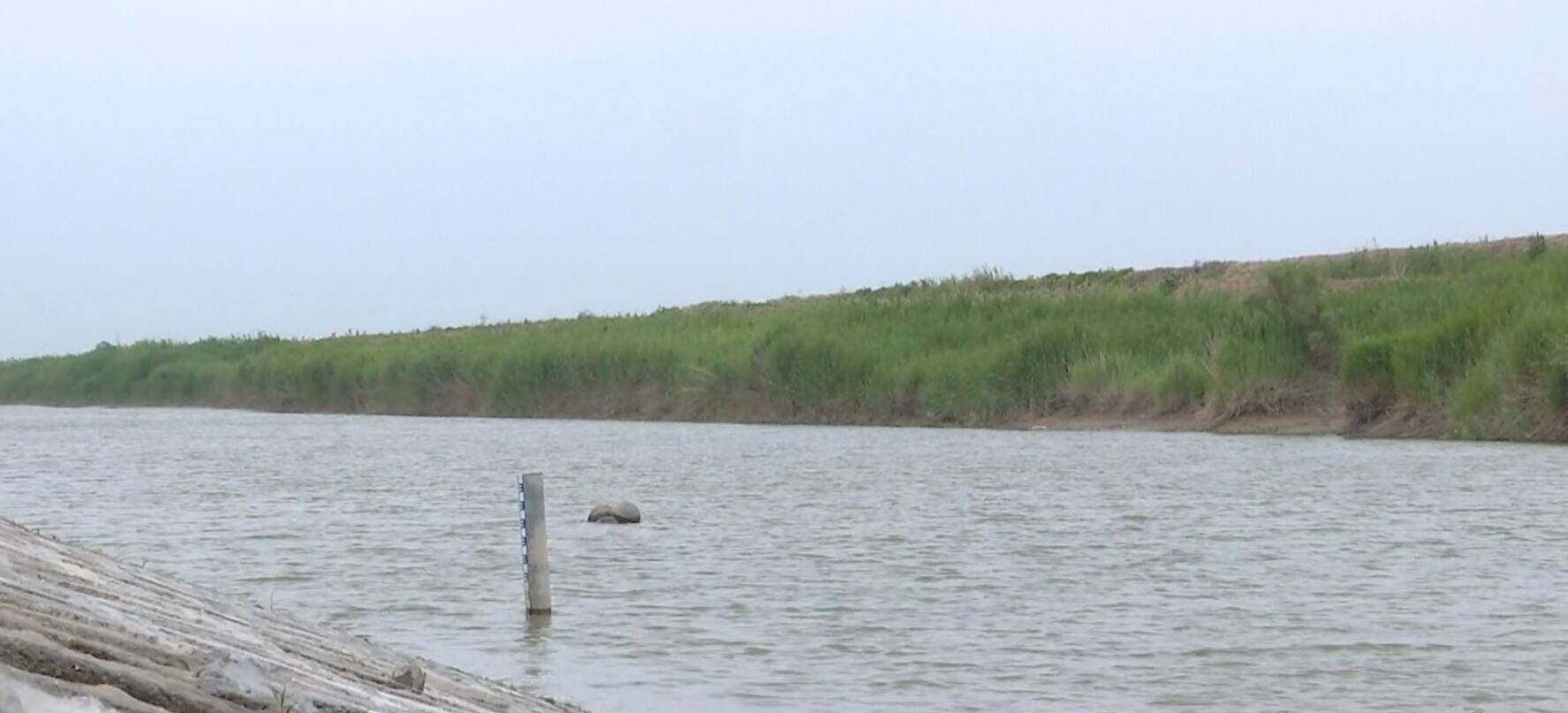 博興一男孩不慎溺水被路人相救