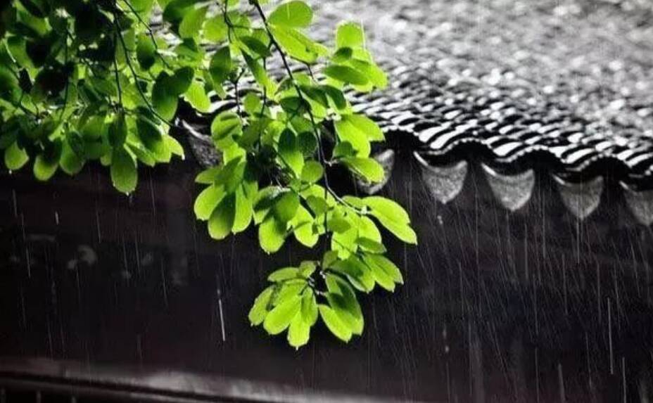 闪电气象吧丨潍坊南部地区有大雨局部暴雨 雨后高温天气登场