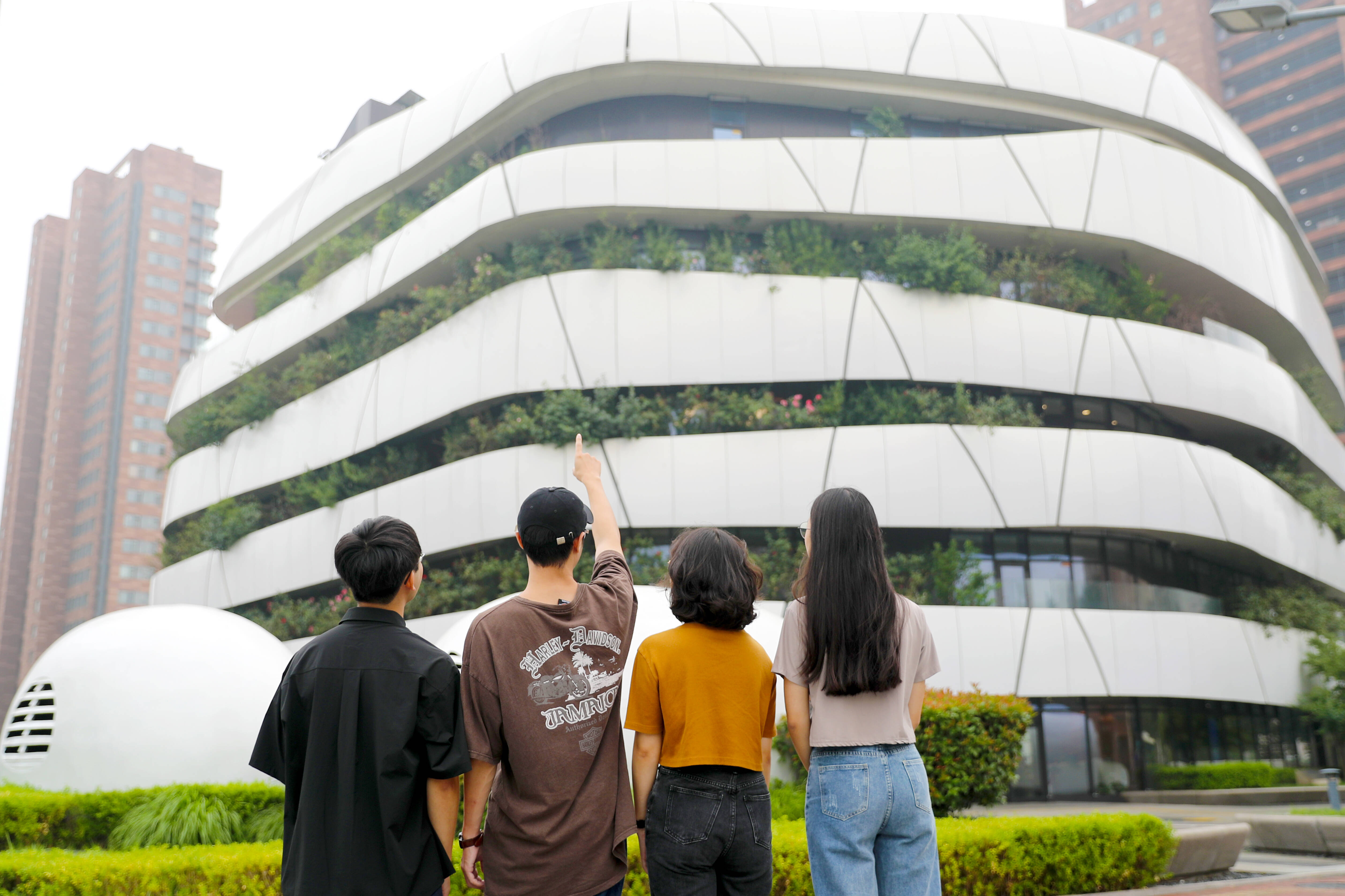 台湾青年学生赴山东研学 感受非遗文化魅力