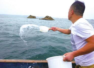 烟台“海肠哥”挖掘小海肠里的大产业