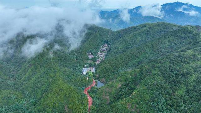 鄒平：鶴伴山云海美如畫