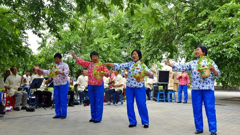 产业兴旺、生态改善、组织有力... ... 夏津乡村振兴“硕果累累”