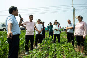 淄博：专家领着农户干 技术送到地头上