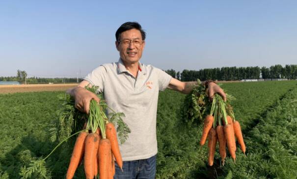 广饶县因地制宜发展特色农业 促进农业增效 农民增收