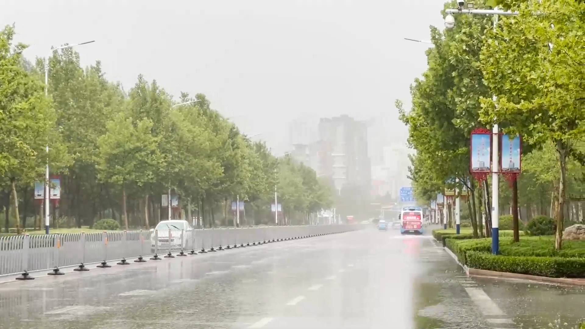 济南市解除雷电黄色预警信号 强降雨已结束