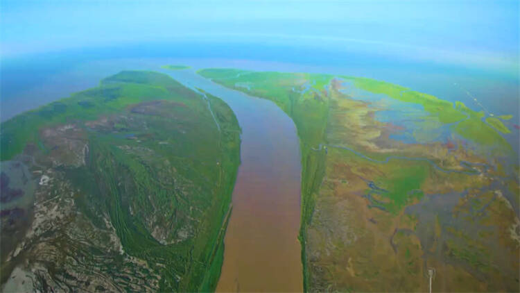 东营：黄河口生态旅游区获评全国自然教育基地
