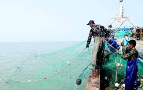 伏季扬帆出海专项捕捞海蜇