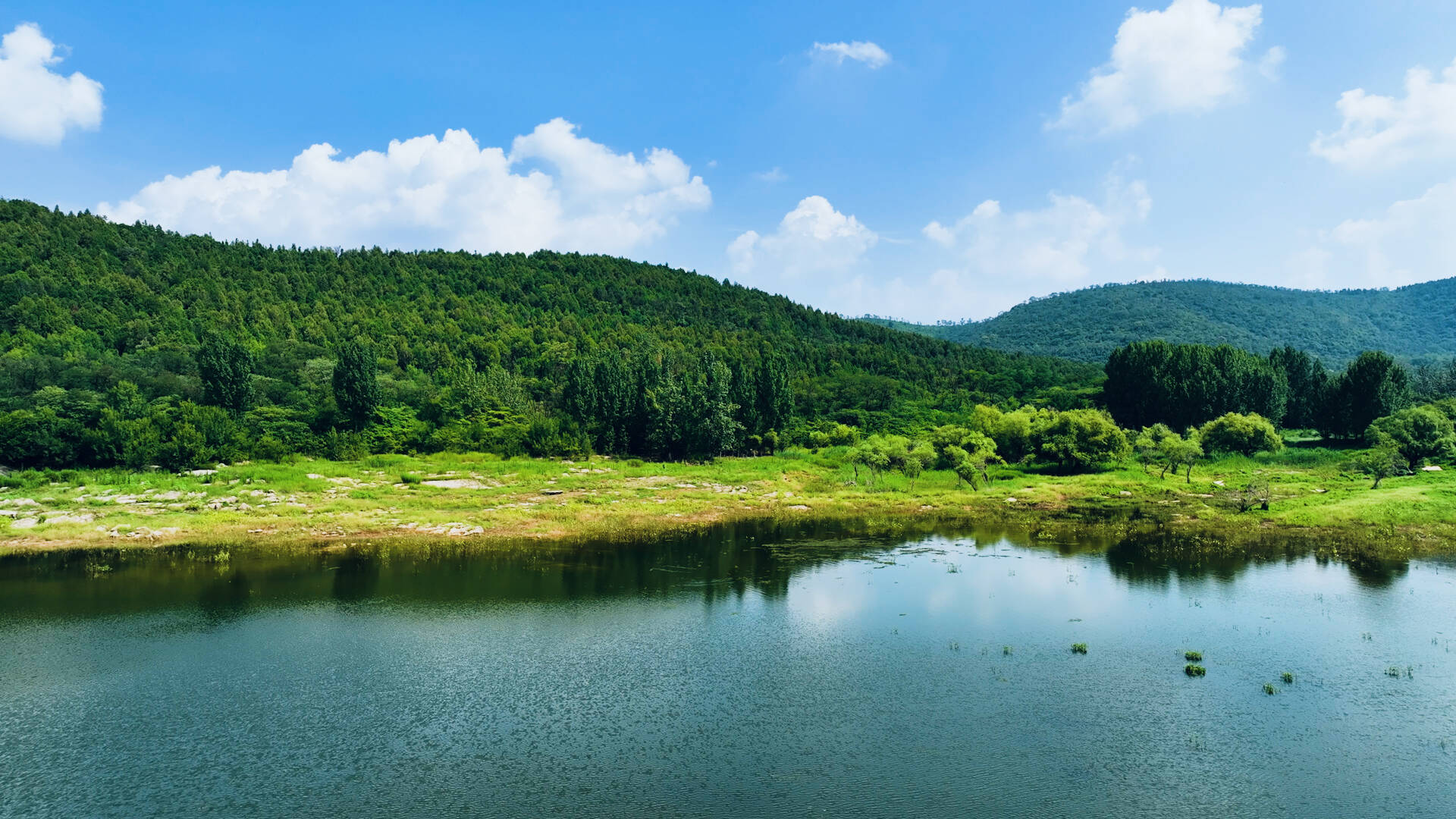 群山之中镶碧玉！盛夏枣庄杨峪风景区满眼翠绿 风景秀丽