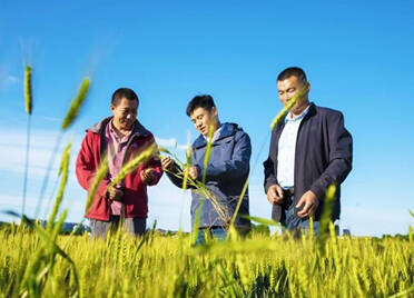 潍坊市一人荣获“全国农业农村劳动模范”称号