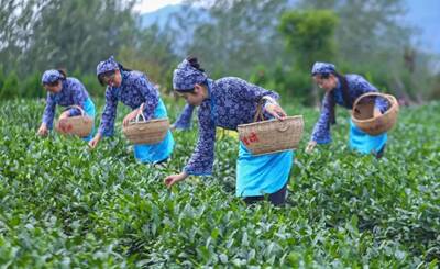 来自日照！成都大运会，北大学生宋家辉拿下小组第一！