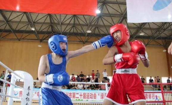 滨州市第二十届运动会拳击比赛开赛