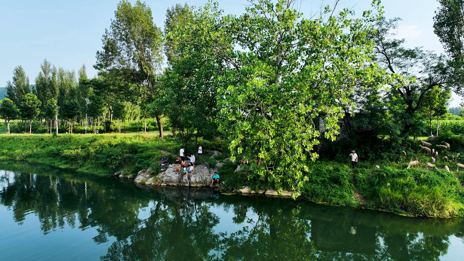 枣庄龙河生态保护显成效 河水清澈景色美