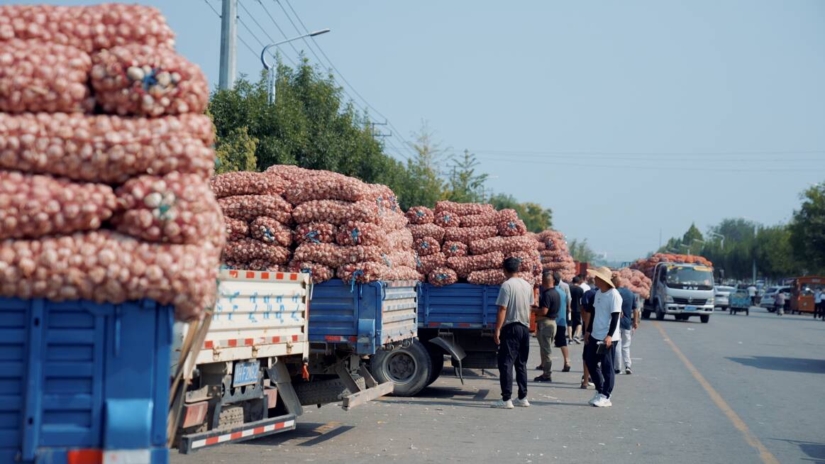 二季度发货量环比增长43.3%  满帮集团助力金乡大蒜产业高质量发展