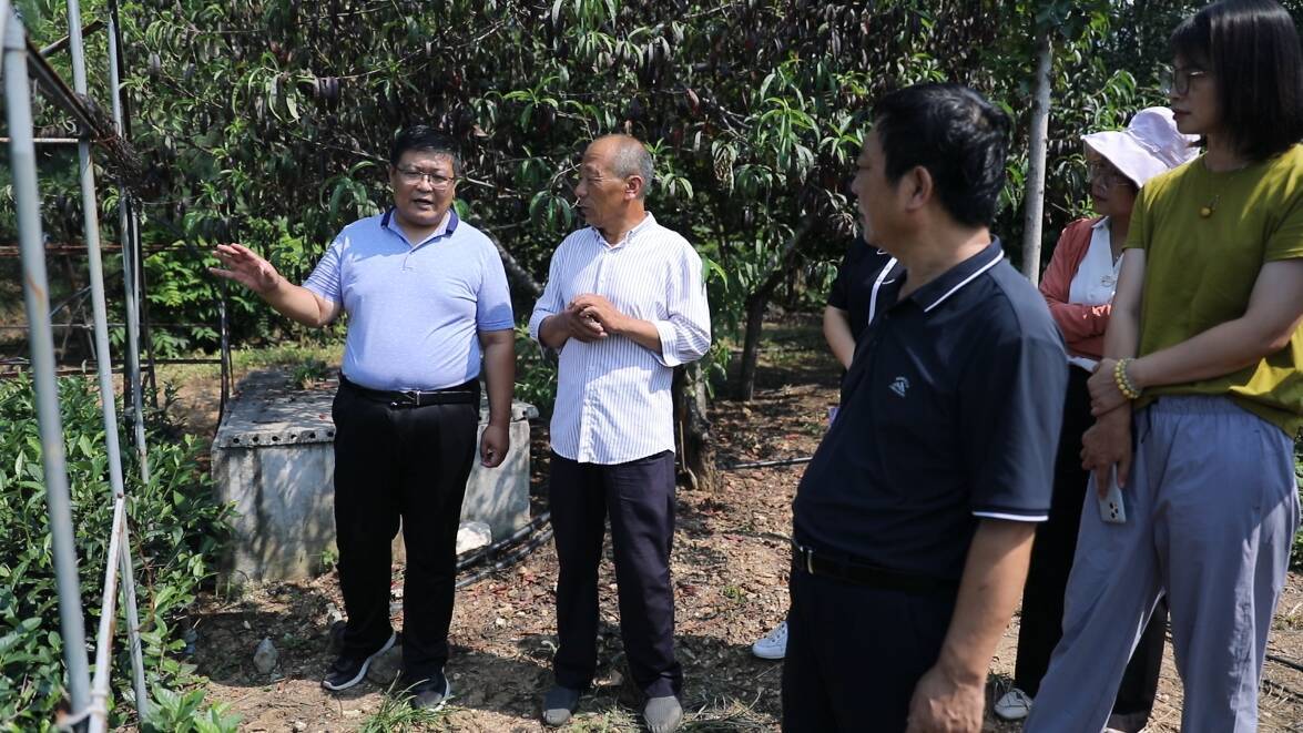 泰安市岱岳区成立茶产业发展联盟 助推服务新业态