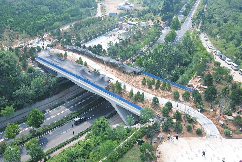 山东首座“绿色生态桥”展露新容