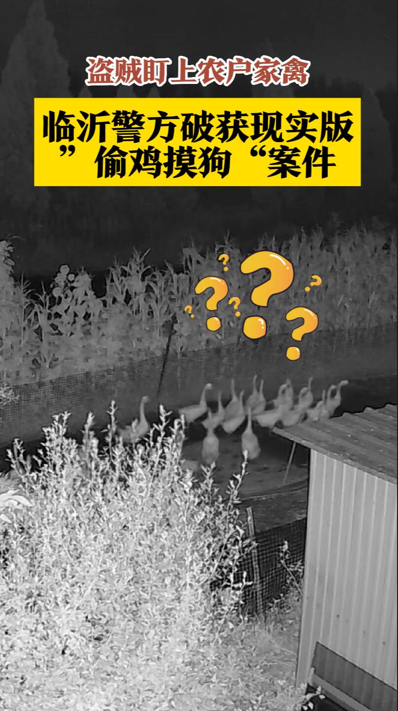 临沂一男子上演现实版“偷鸡摸狗”   警方迅速出击抓获归案