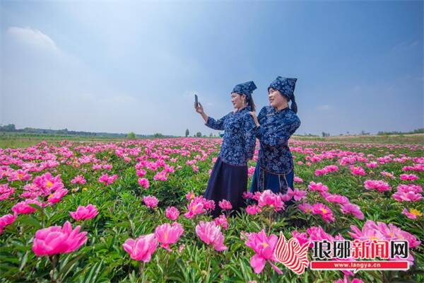 开云体育 开云官网临沂兰陵：“农文旅+”蹚出旅游发展新路径(图2)