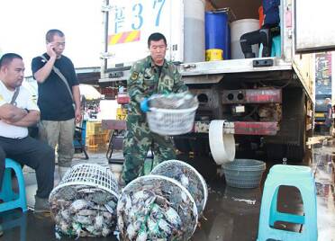 小型渔船开始近海捕捞 烟台海鲜市场供销两旺