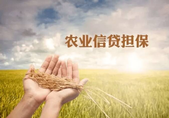 全国农业信贷担保高质量发展座谈会在济宁召开