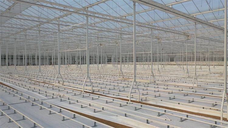 利津：打造节水高效高标准农业温室  首次完全采用地源热泵采暖制冷