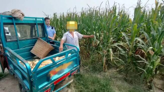 博兴公安行政拘留2名盗窃玉米违法行为人