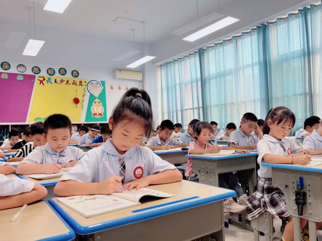 明亮柔和还节能！武城县配备3245盏护眼灯，为小学生“点亮”未来