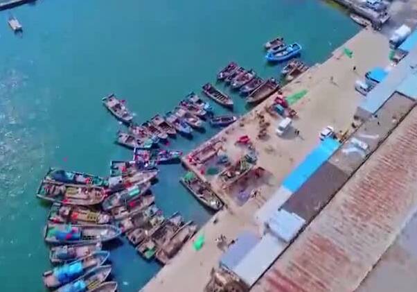 视频丨渔船丰收归 码头“鲜味”足