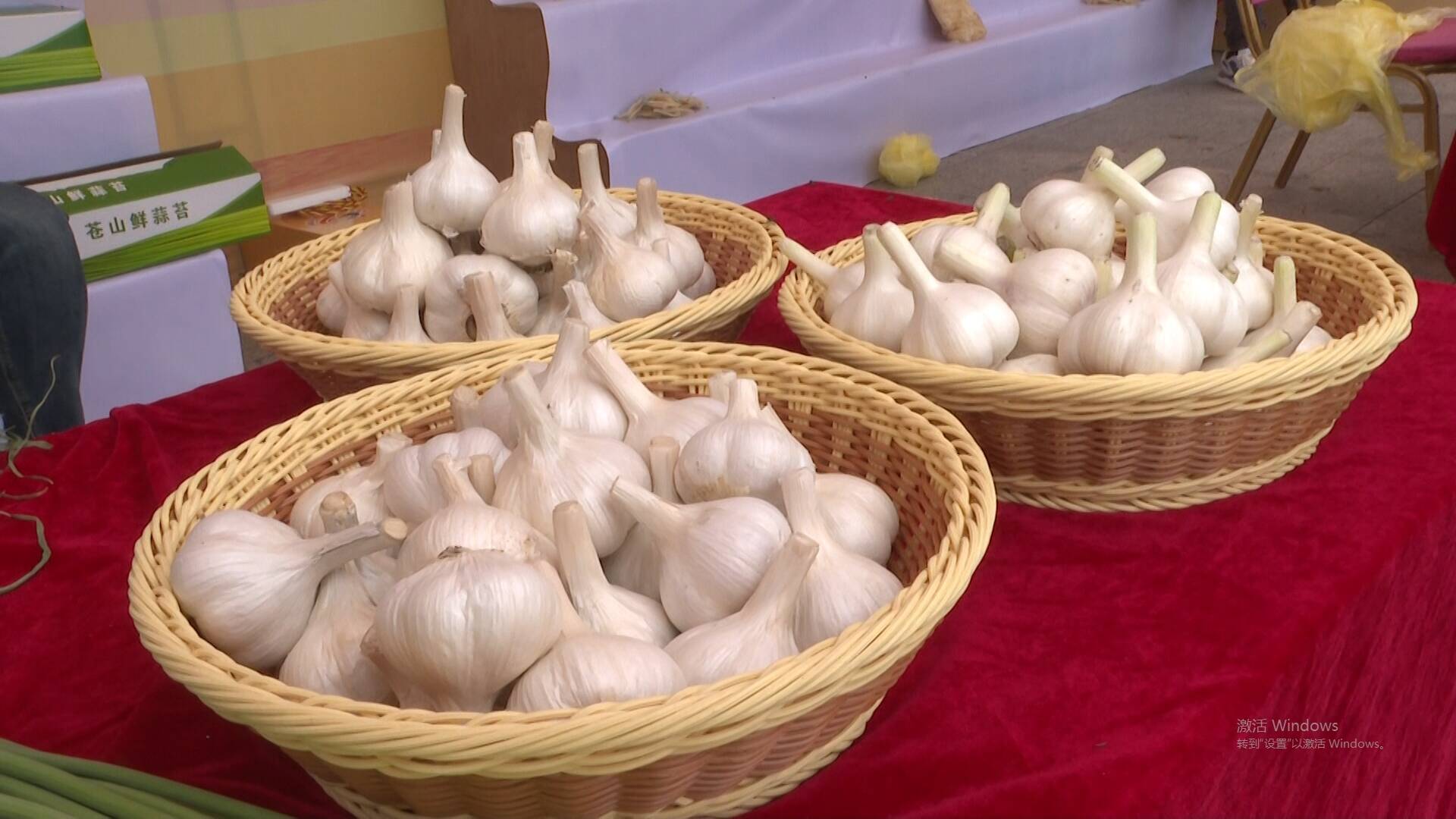 2023年中国（兰陵）大蒜美食文化节活动开幕