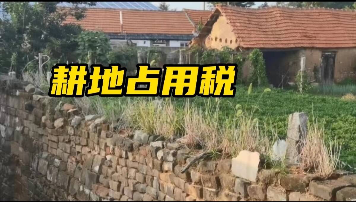 網絡問政·問政策 | 占用一般農田建養殖場 要繳耕地占用稅嗎