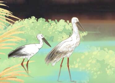 微视频｜同白鹭共舞，看黄河入鲁，人与自然和谐共生