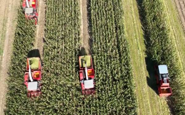 乐陵：新型农机装备“上阵” 助力“三秋”生产提速提效