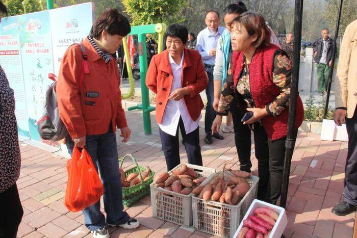 济南市南部山区山地蜜薯和贝贝南瓜丰收节开幕