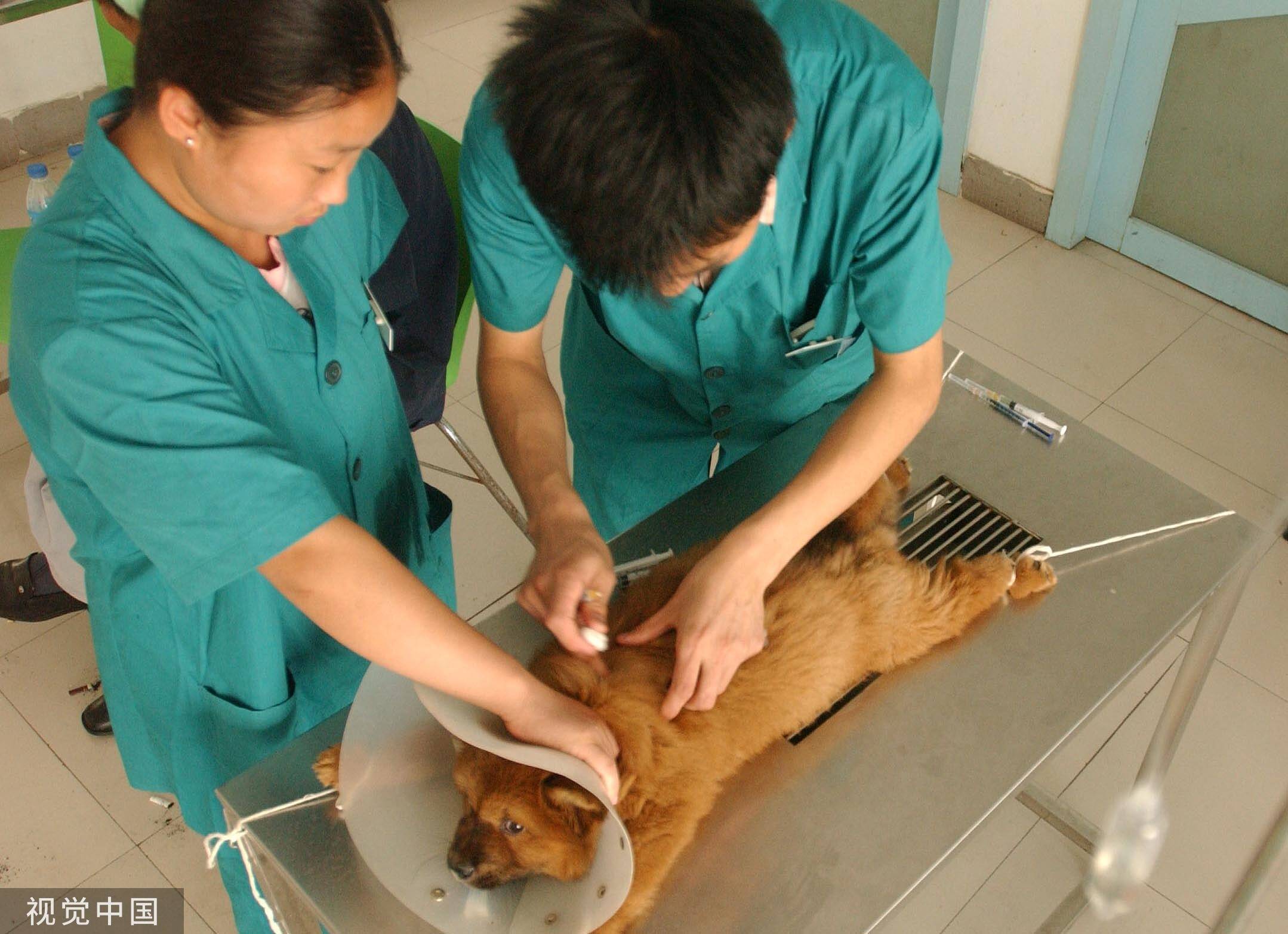 潍坊市第一批犬只狂犬病疫苗免疫接种点公布
