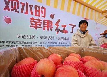 漫山苹果红 观水好“丰”景 牟平观水镇2023年苹果文化节开幕