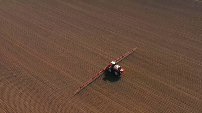 潍坊：560余万亩冬小麦“应播尽播” 夯实明年夏粮丰收基础