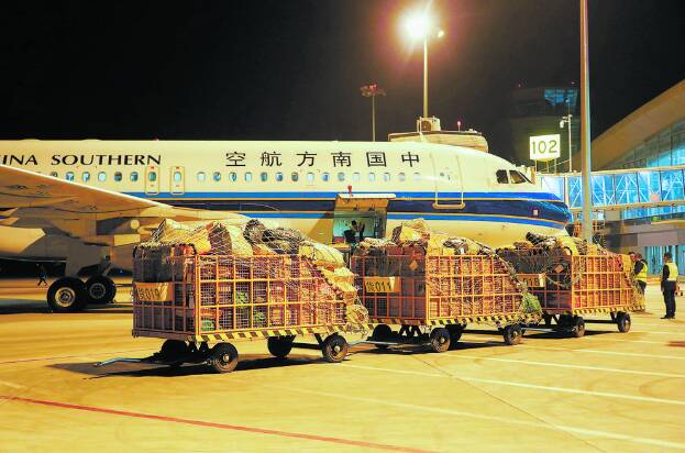 牡丹机场正式开通航空邮件运输业务