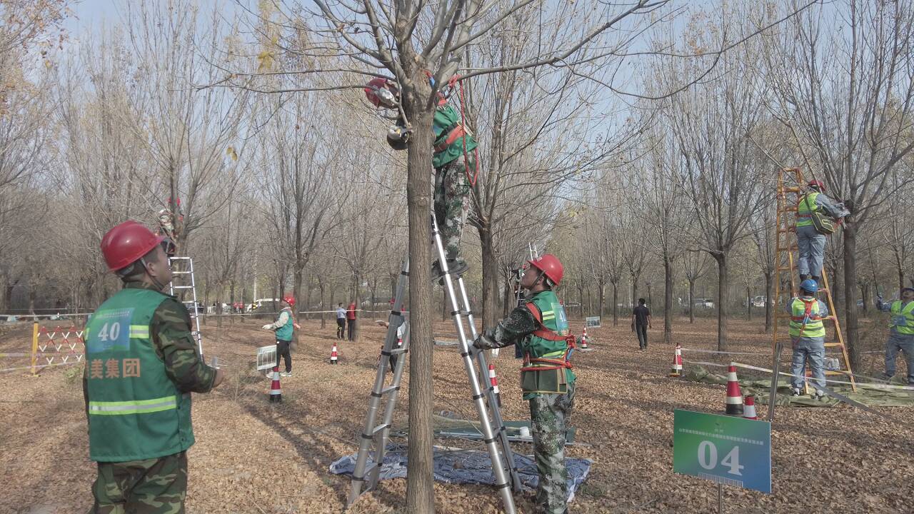 山东省城市精细化管理园林绿化行业技能竞赛在东营举行