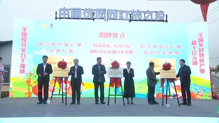 2023中国优质西红柿之乡首届西红柿节在博兴开幕