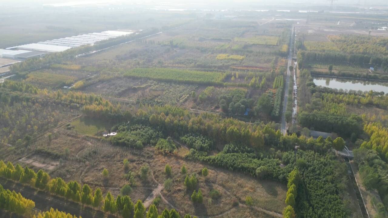 东营市东营区：“苗木交易”“森林康养”“碳指标交易”三线发力 持续释放生态红利