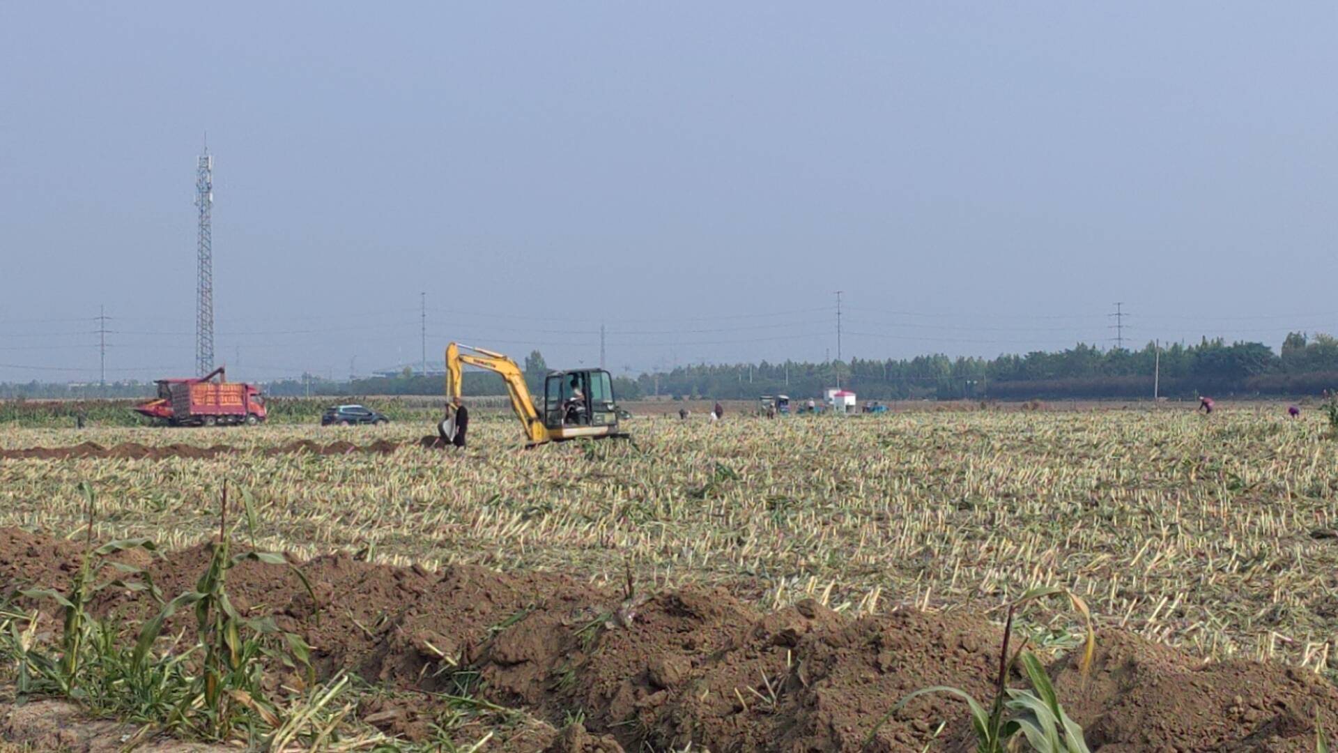 推动现代化农业发展 淄博临淄1万亩高标准农田建设项目（改造提升）已完成95%