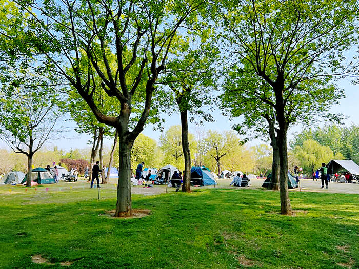 济南市十大“最美共享绿地”名单出炉