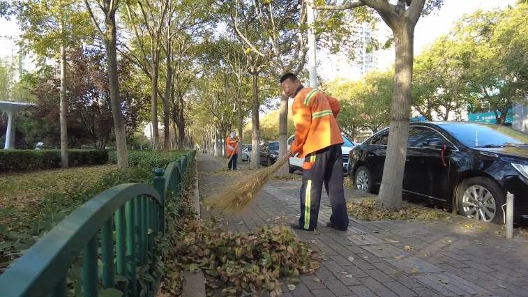 潍坊：“机械+人工”加快落叶清扫 提升城市“颜值”