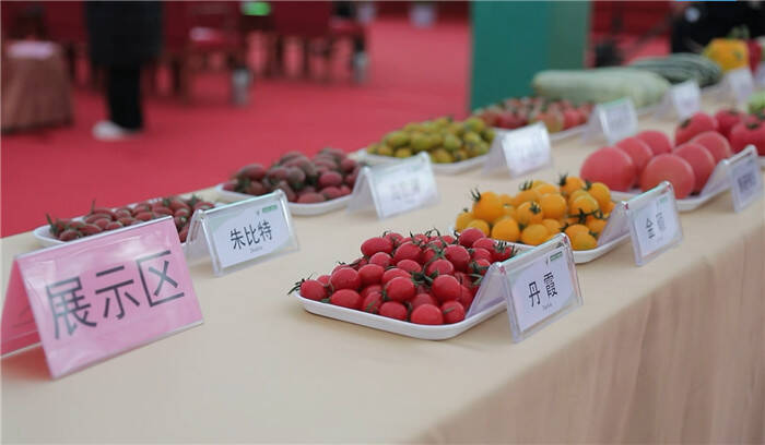 2023寿光国际蔬菜种业博览会开幕 集中展示推广4000多个优良品种