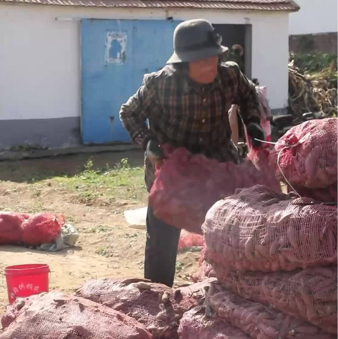 临沂：退赃到田间地头！守护群众好“丰”景