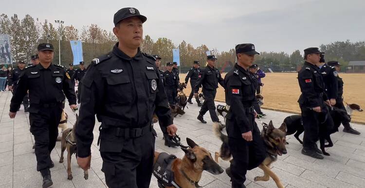 潍坊：警犬协助侦破各类案件926起 发现关键物证120余起