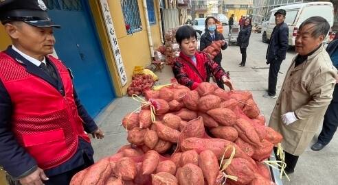 “滞销薯”变“暖心薯” 临沂蒙阴军属3万斤蜜薯3天卖光