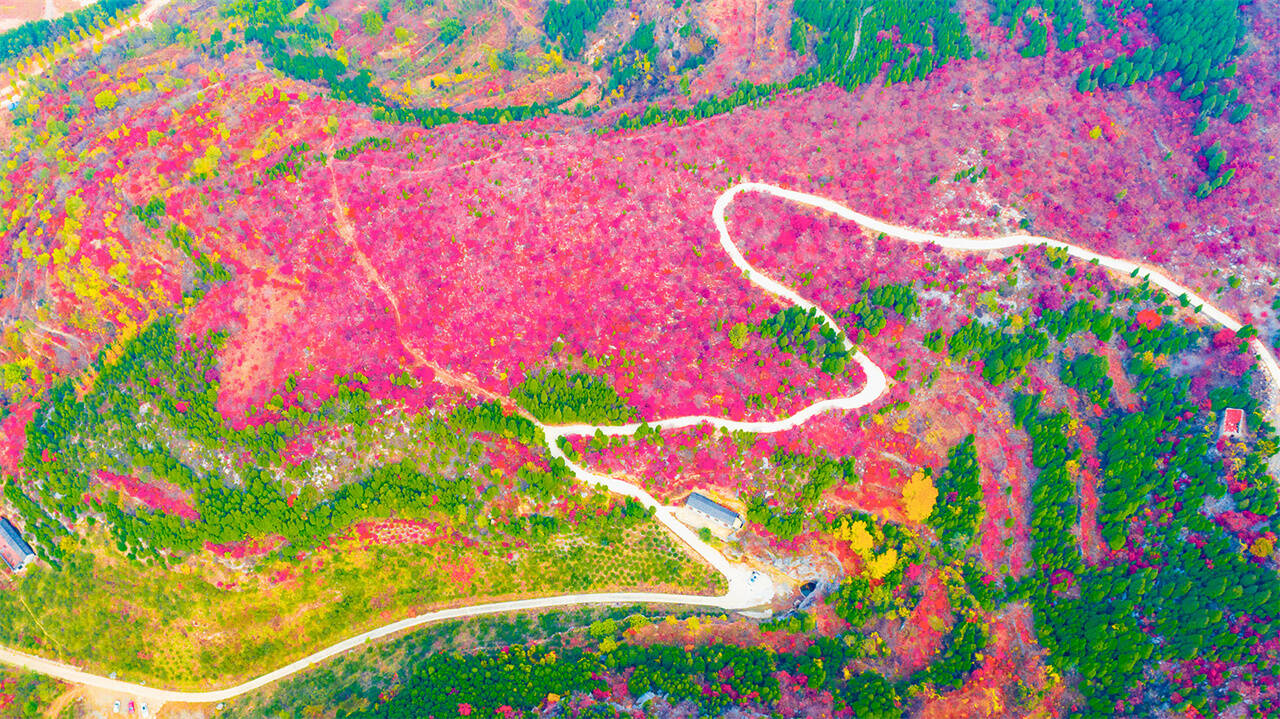 从落后小山村到宜居宜业和美乡村 济南历城芦南村实现村庄“逆袭”