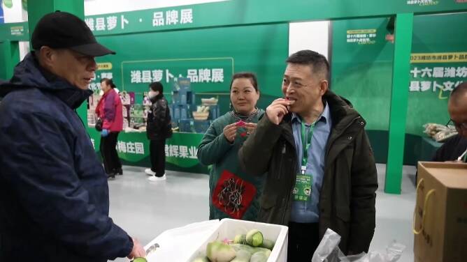 第十六届潍坊·寒亭潍县萝卜文化节启幕 品牌农业焕发光彩
