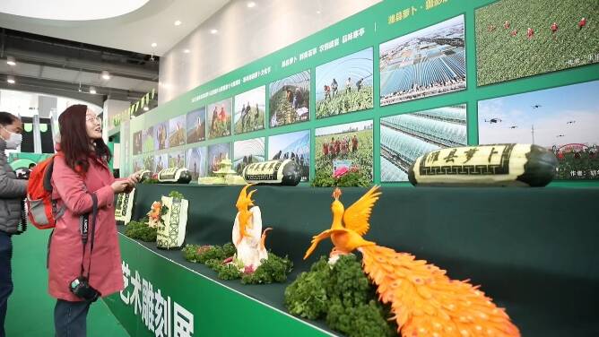 潍坊：萝卜文化节助推品牌农业强势兴起 辐射带动农民增收1000余万元